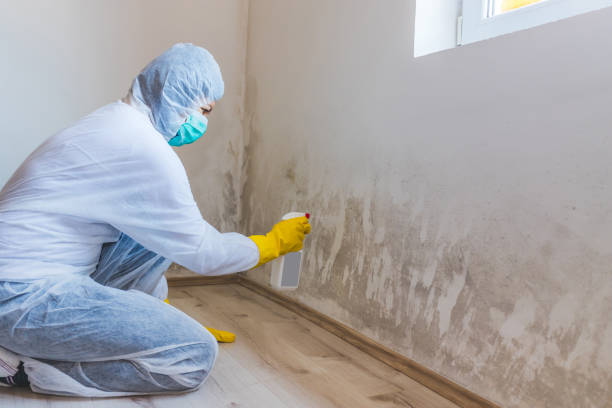Crawl Space Mold Remediation treatment of floor joists in Champlin